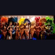 Dance Group: Tropicalia Latin Brazilian Show